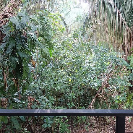 Selva Linda Lodge Vacation Rentals Quepos Dış mekan fotoğraf