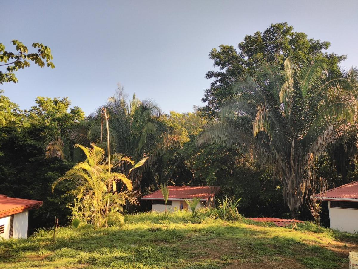 Selva Linda Lodge Vacation Rentals Quepos Dış mekan fotoğraf