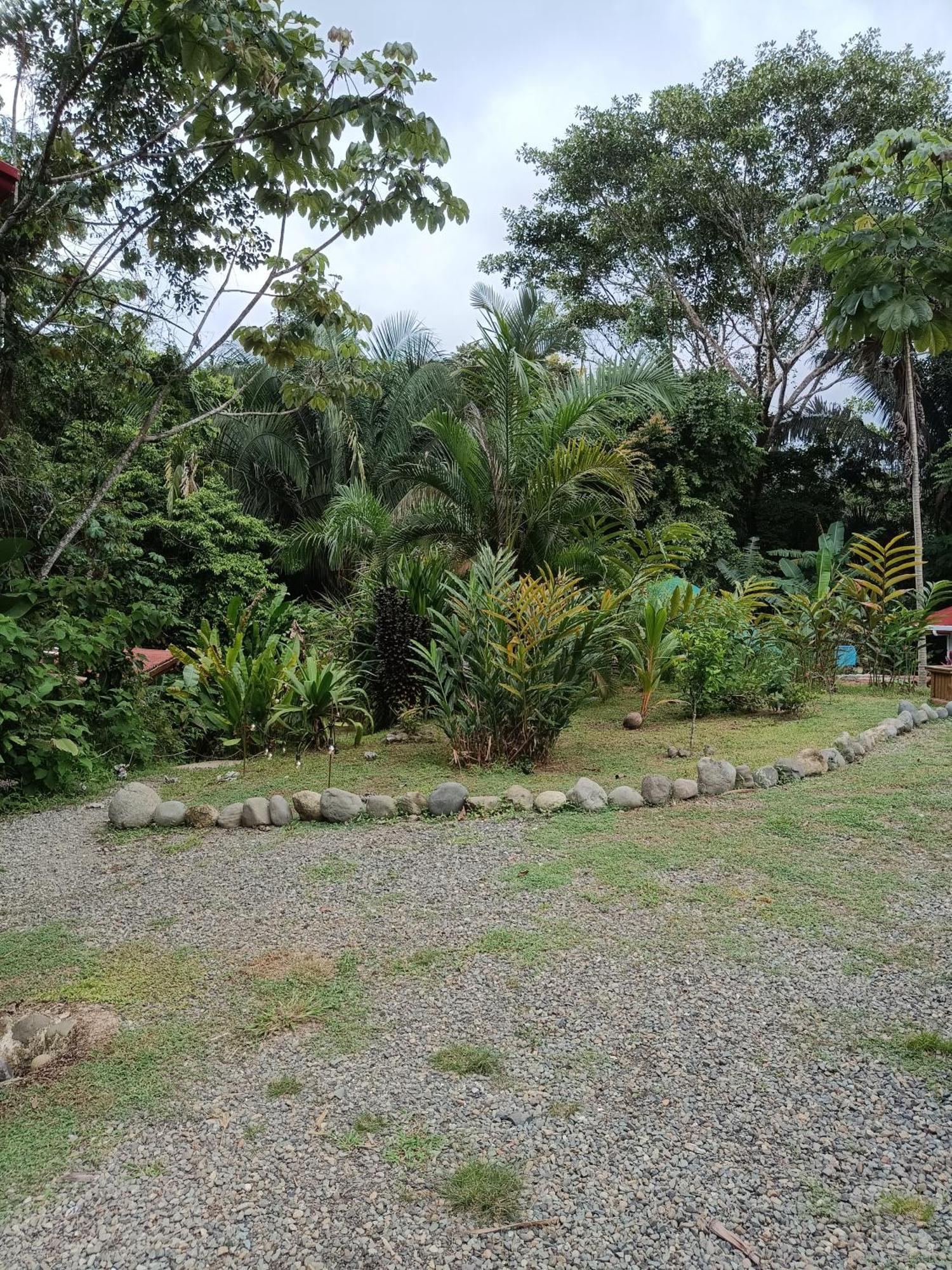 Selva Linda Lodge Vacation Rentals Quepos Dış mekan fotoğraf