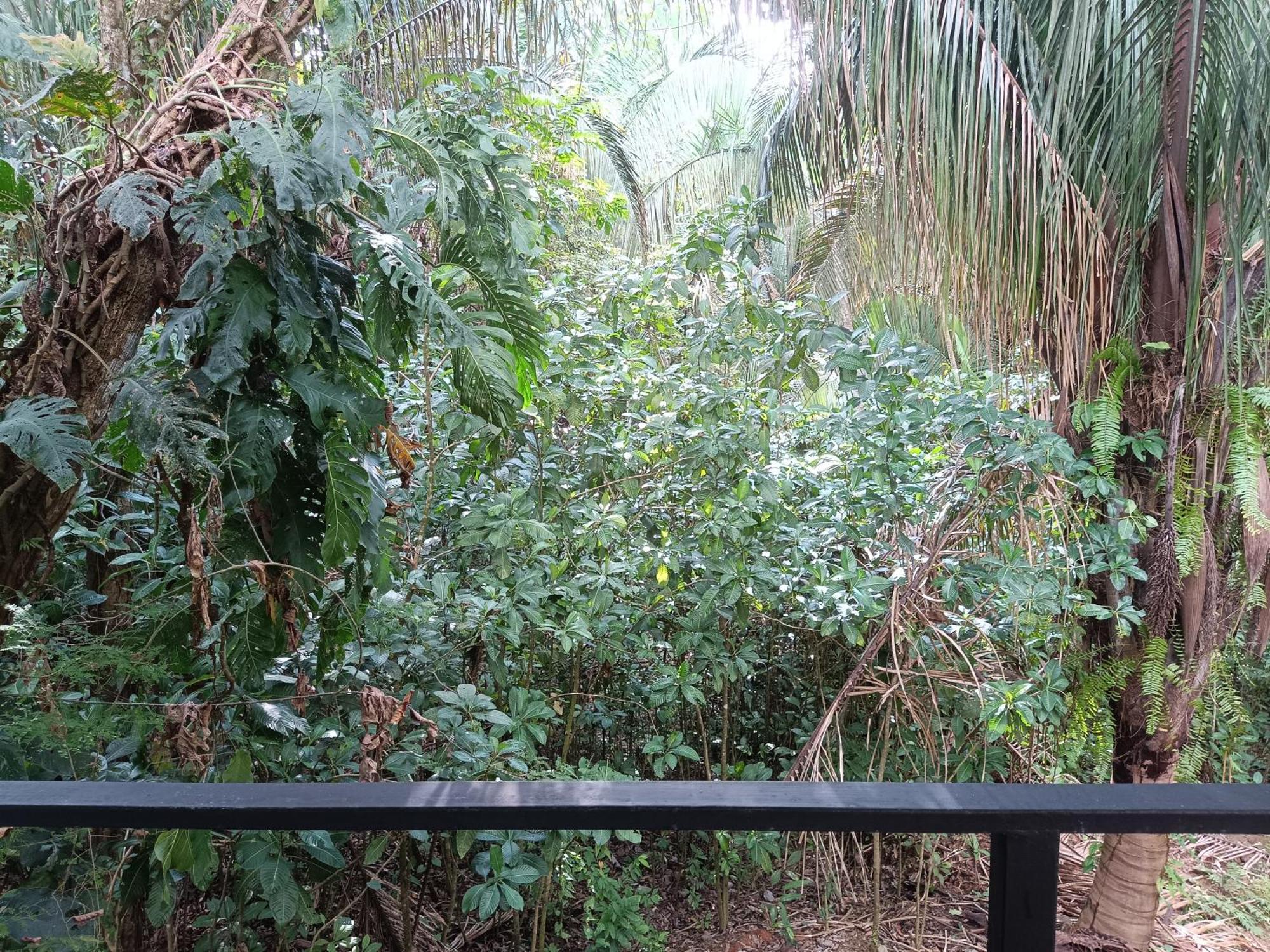 Selva Linda Lodge Vacation Rentals Quepos Dış mekan fotoğraf