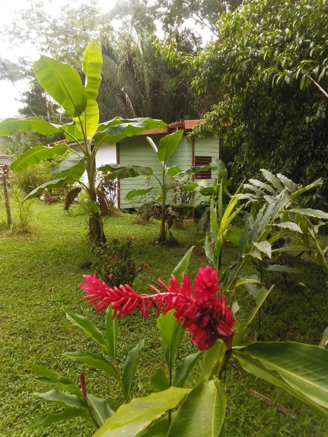 Selva Linda Lodge Vacation Rentals Quepos Dış mekan fotoğraf