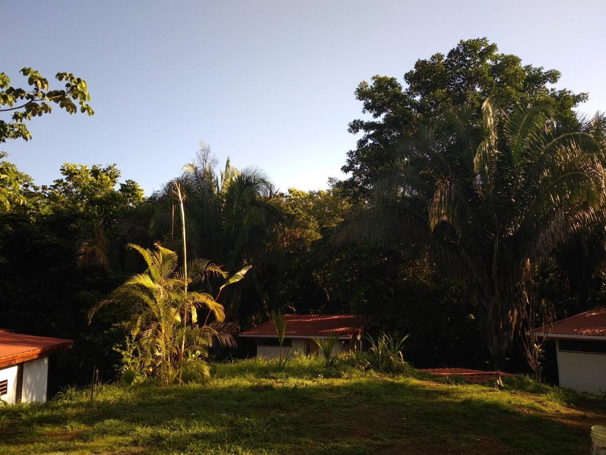 Selva Linda Lodge Vacation Rentals Quepos Dış mekan fotoğraf